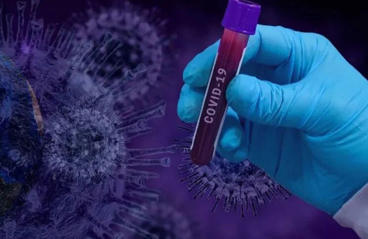 
Coronavirus: identifican qué tipo de personas son potencialmente inmunes
