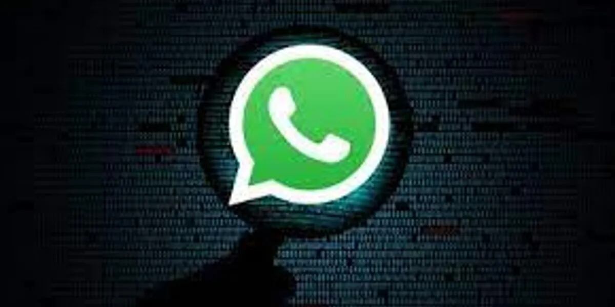 WhatsApp: cómo evitar que Google y Facebook accedan a tus datos
