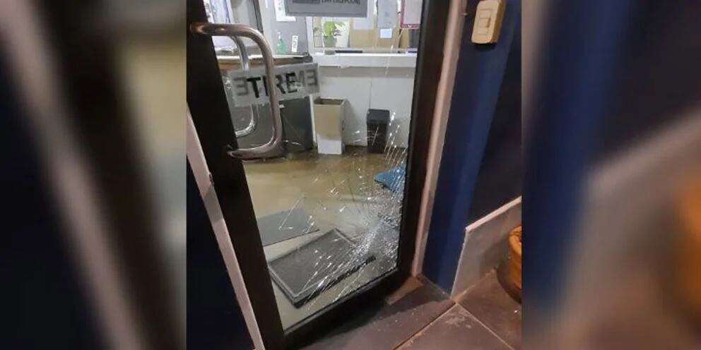 Video: un puma “chocó” contra la puerta de una municipalidad