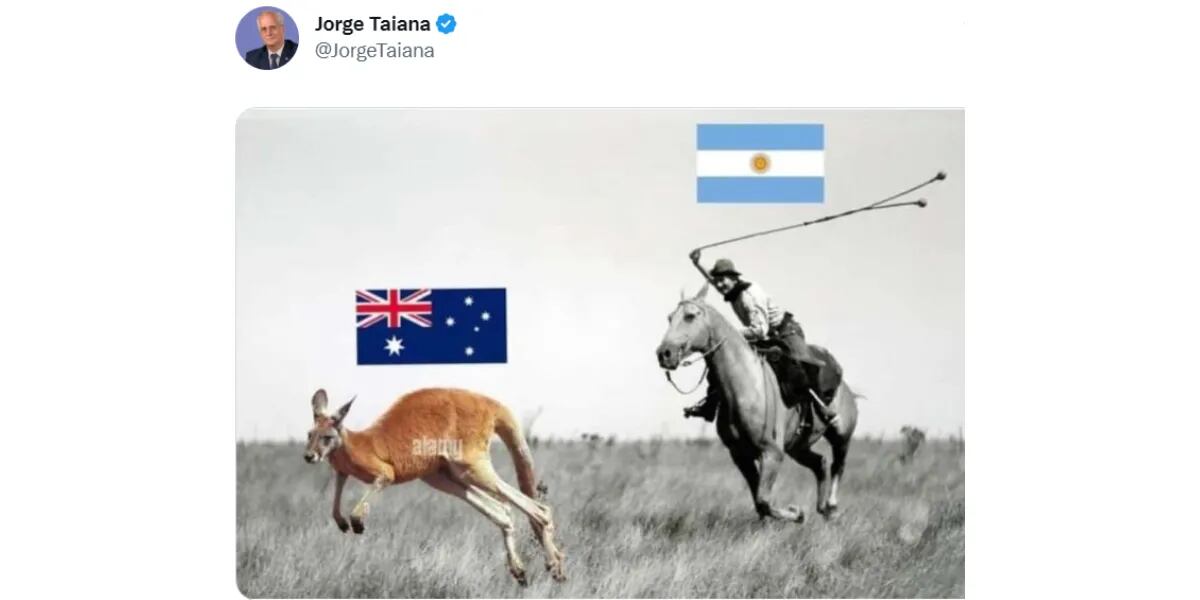 El polémico tuit del ministro de Defensa, Jorge Taiana, tras la victoria de la Selección Argentina ante Australia