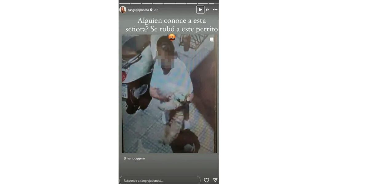 La China Suárez escrachó a una mujer por robarse a un perro: "¿Alguien conoce a esta señora?"
