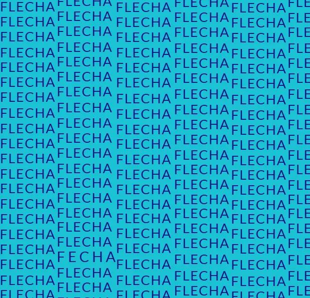Reto visual nivel expertos: en 10 segundos encontrar la palabra FECHA