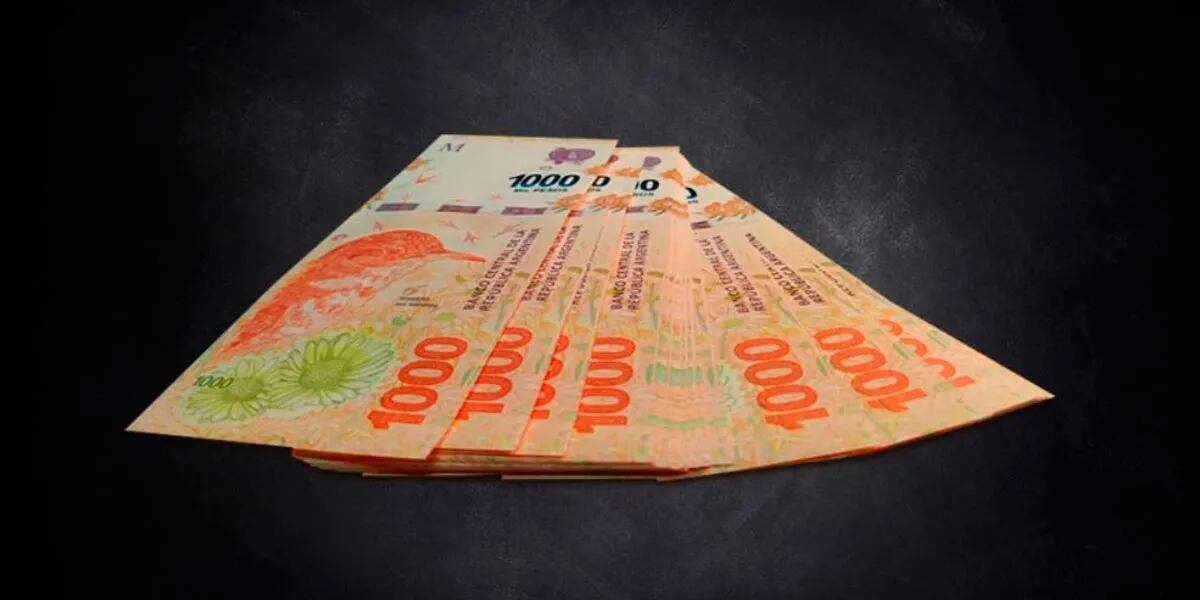 ANSES: analizan la posibilidad de un segundo pago del bono de 15 mil pesos