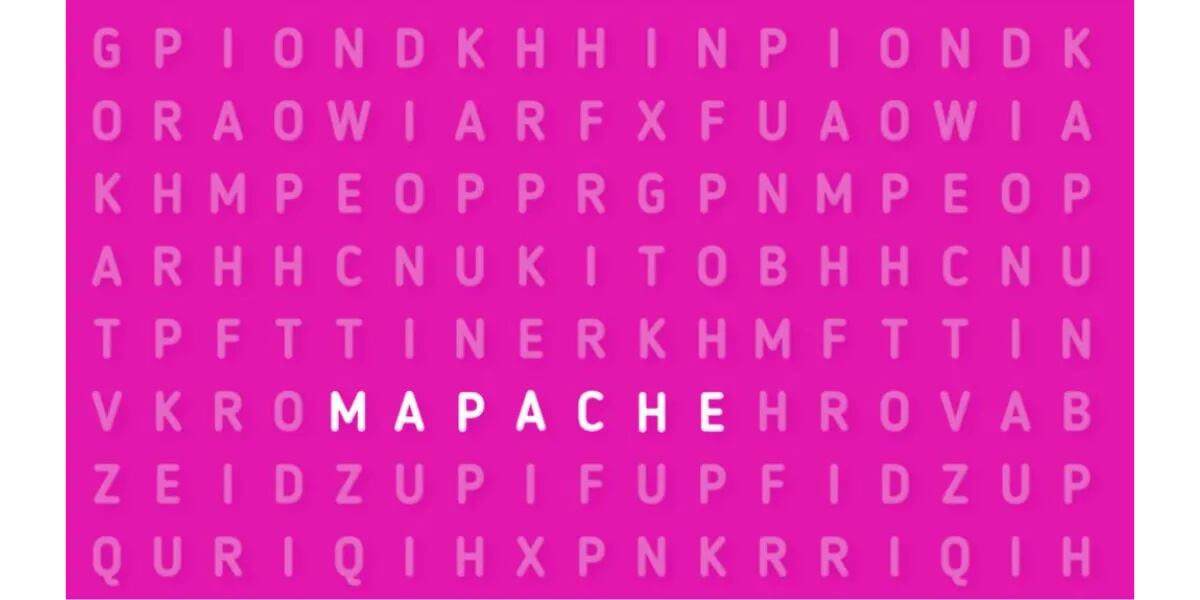 Reto visual para OBSERVADORES: encontrar la palabra “MAPACHE” en el primer intento
