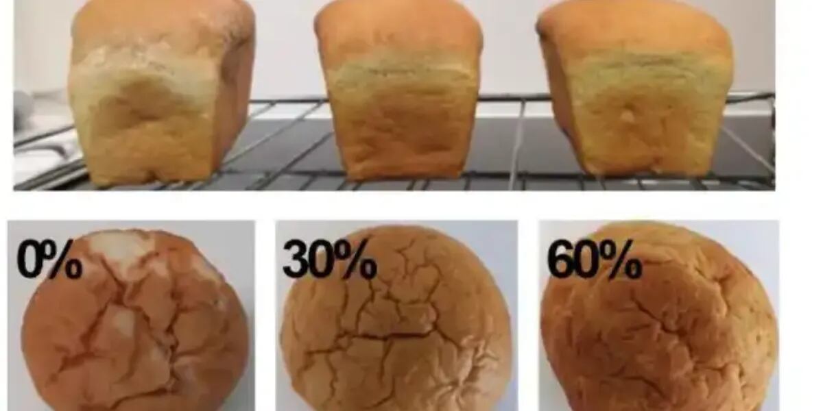 Un pan saludable con grandes beneficios: reduce el azúcar en sangre y ayuda a comer menos