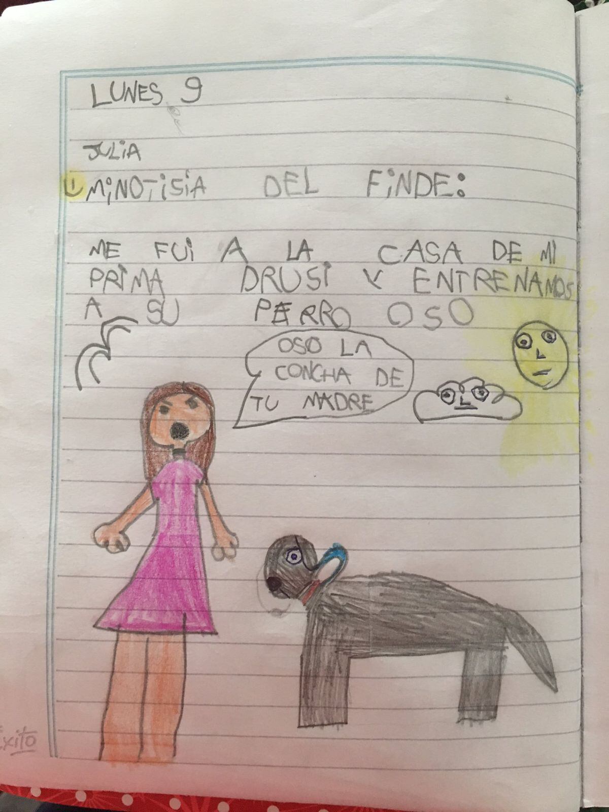 El dibujo con "periodismo de verdad" de una niña de seis años | Radio Mitre