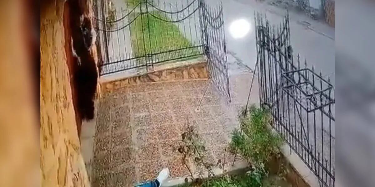 Horror en Bahía Blanca: un abuelo mató a su nieto de cinco tiros porque le golpeó el portón a patadas