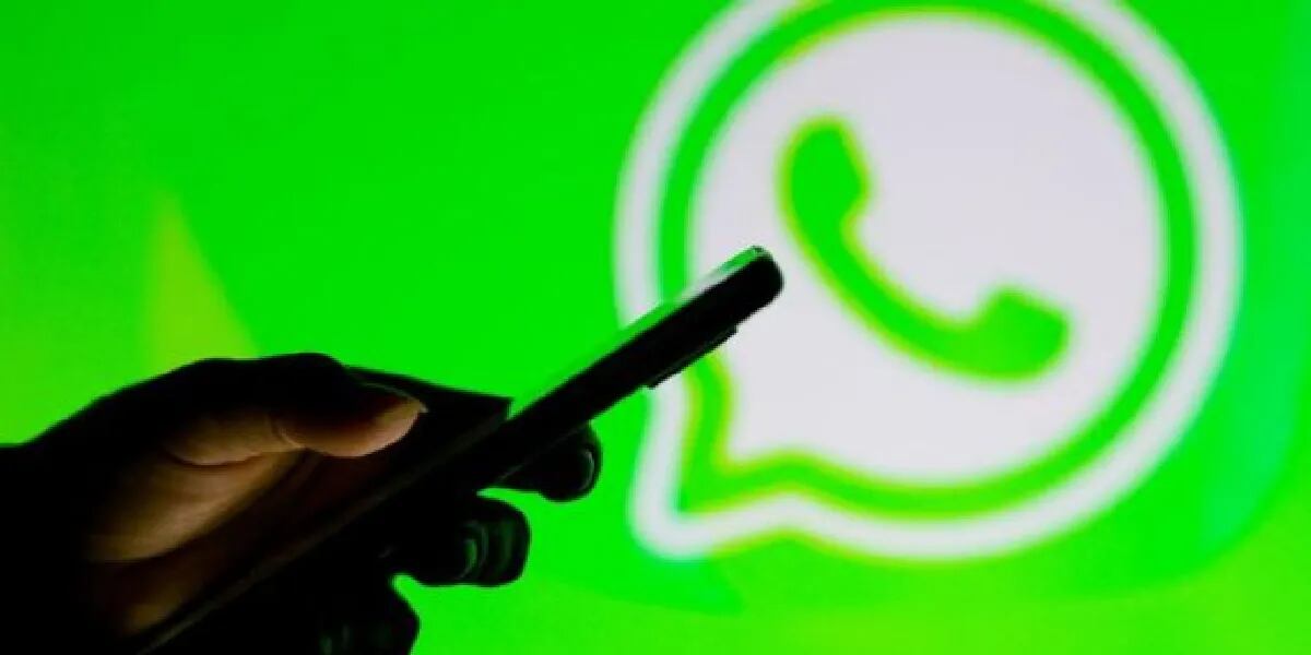 WhatsApp suma avatares a las videollamadas para proteger la privacidad: cómo funcionan
