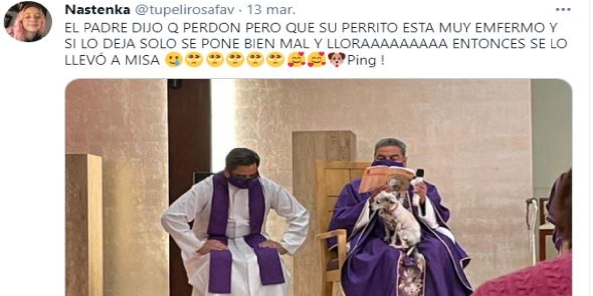 Un sacerdote dio la misa con su perro porque estaba descompuesto (y hay fotos)