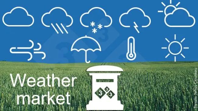 Qué es el Weather Market