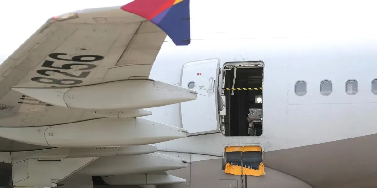 Un hombre abrió la puerta del avión en pleno vuelo y podría pasar 10 años preso: “Quería salir rápido”