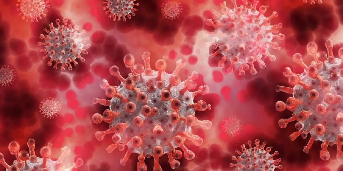 Revelan por qué se propagan más rápido las nuevas cepas de coronavirus.