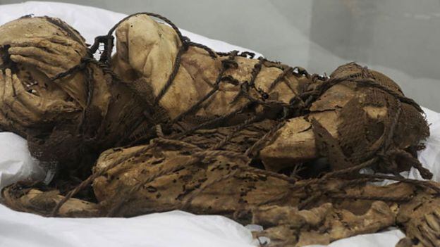 Encontraron restos de 20 momias de hasta 1200 años de antigüedad en Perú |  La 100