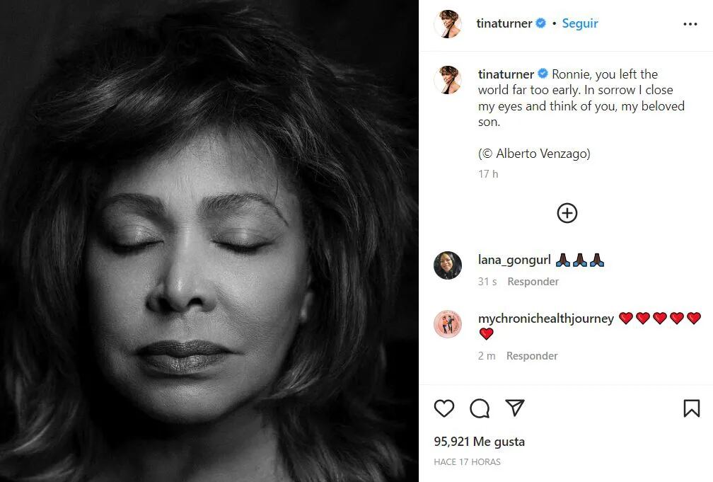La muerte de su hijo Ronnie: la perdida de Tina Turner en diciembre