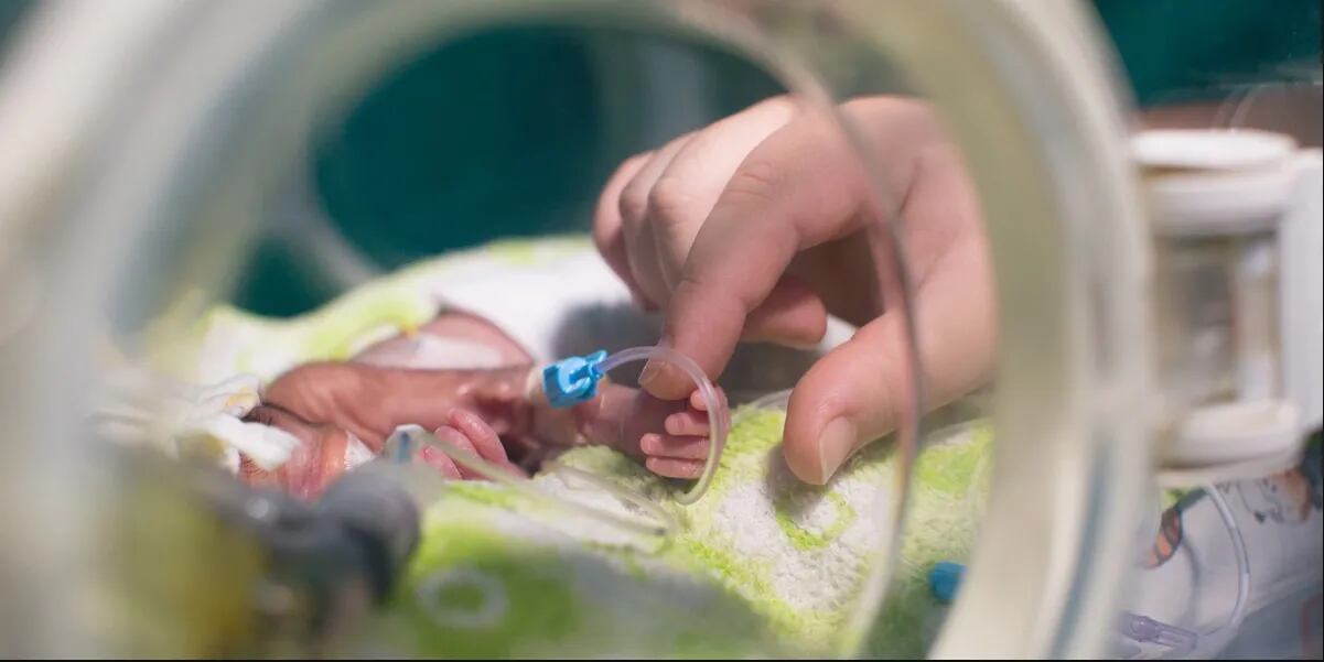 Investigan las muertes de 5 bebés recien nacidos en un Hospital neonatal en Córdoba: suspendieron a 40 empleados