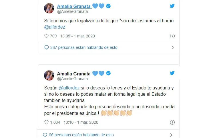 Amalia Granata estalló contra Alberto Fernández por el proyecto de legalización del aborto: "Cuánta ignorancia señor"