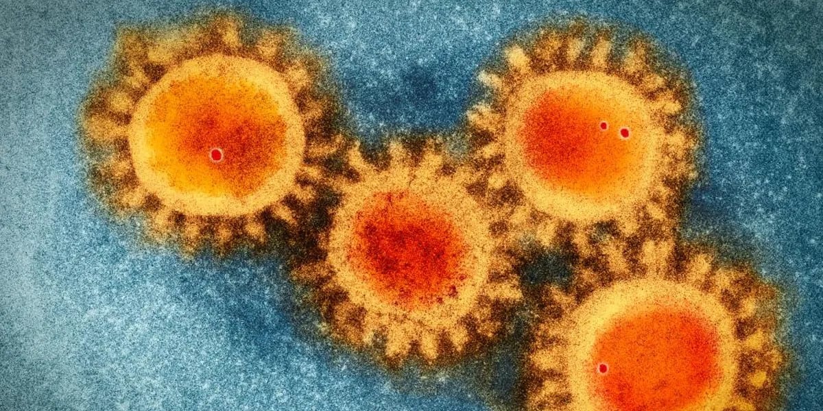 Por qué la nueva variante del coronavirus se llama “Perro del infierno” y cuál es su peligrosidad