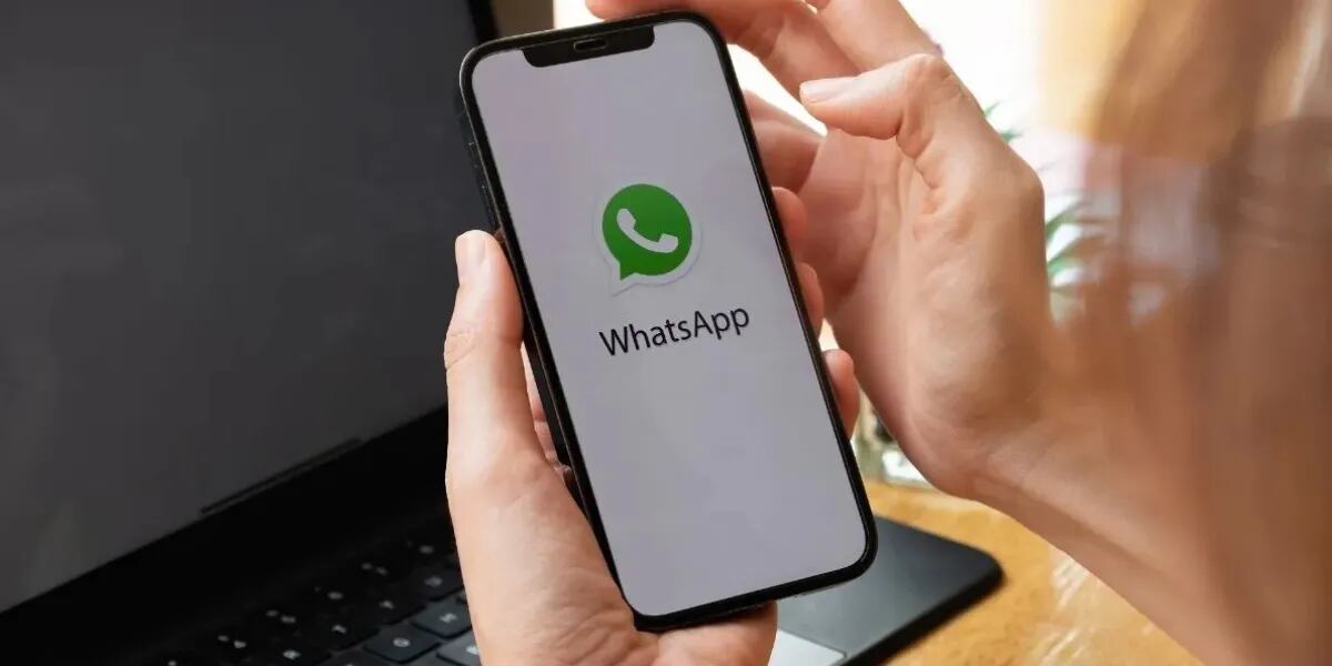 WhatsApp: la nueva función que permite silenciar grupos con varios participantes