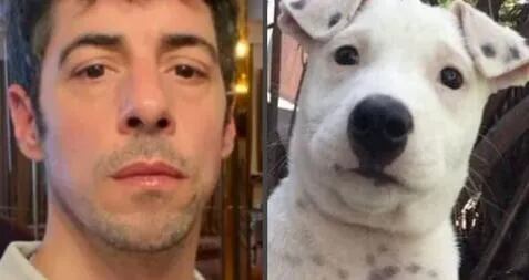 Un perro se hizo viral por su parecido con Esteban Lamothe y el actor quedo boquiabierto: "Lo quiero conocer"
