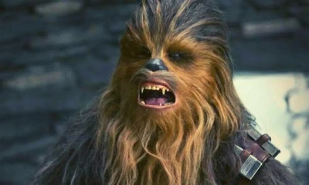 "Una tragedia": metió un peluche de Chewbacca en el lavarropas, lo arruinó y se volvió viral