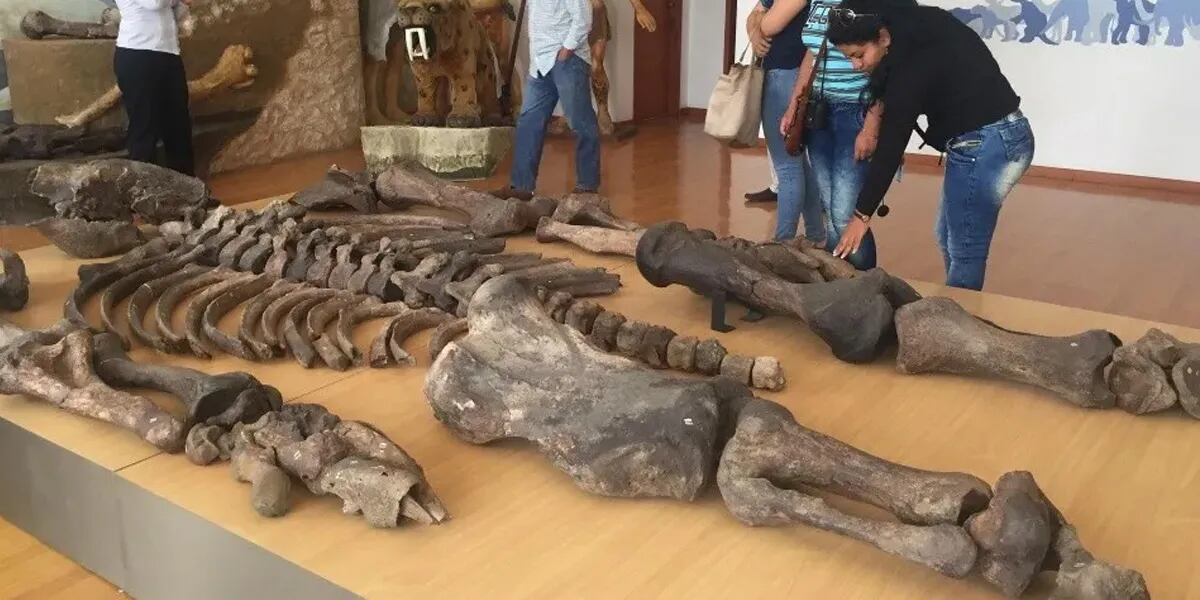 Encontraron restos de gigantes de 7 metros de altura y crece el misterio
