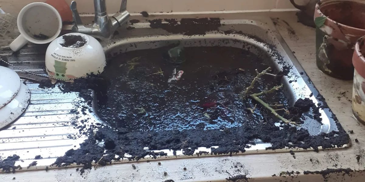 Una coneja generó un desastre tras romper 12 macetas: tapó el desagüe y se inundó la cocina
