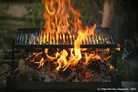 5 formas de prender el fuego para el asado que te van a encantar