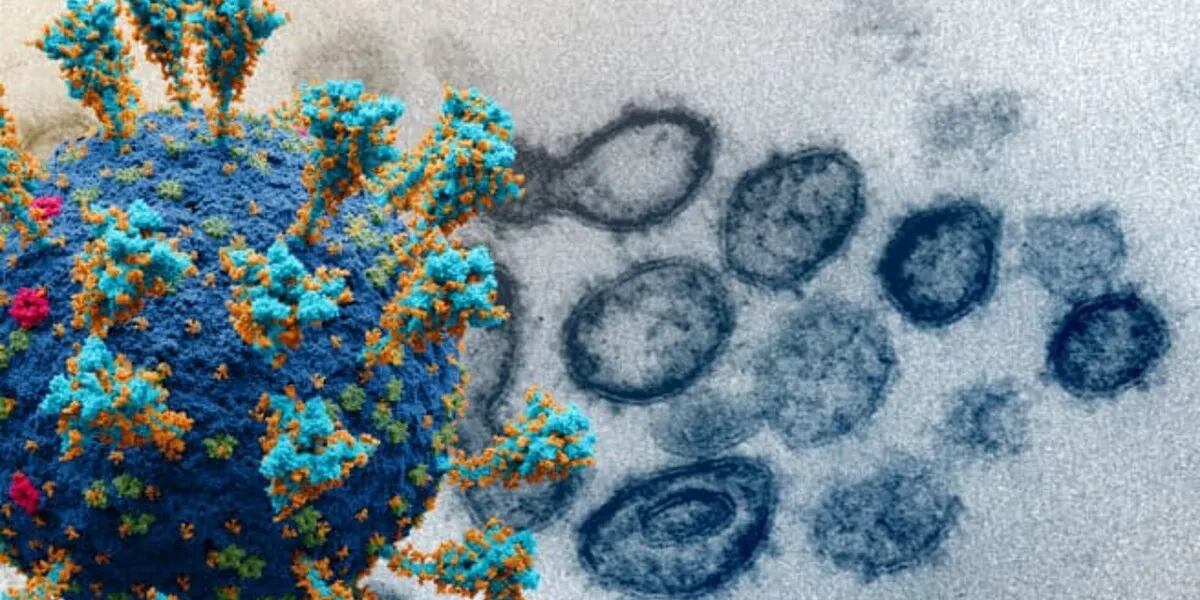 Por qué la nueva variante del coronavirus se llama “Perro del infierno” y cuál es su peligrosidad