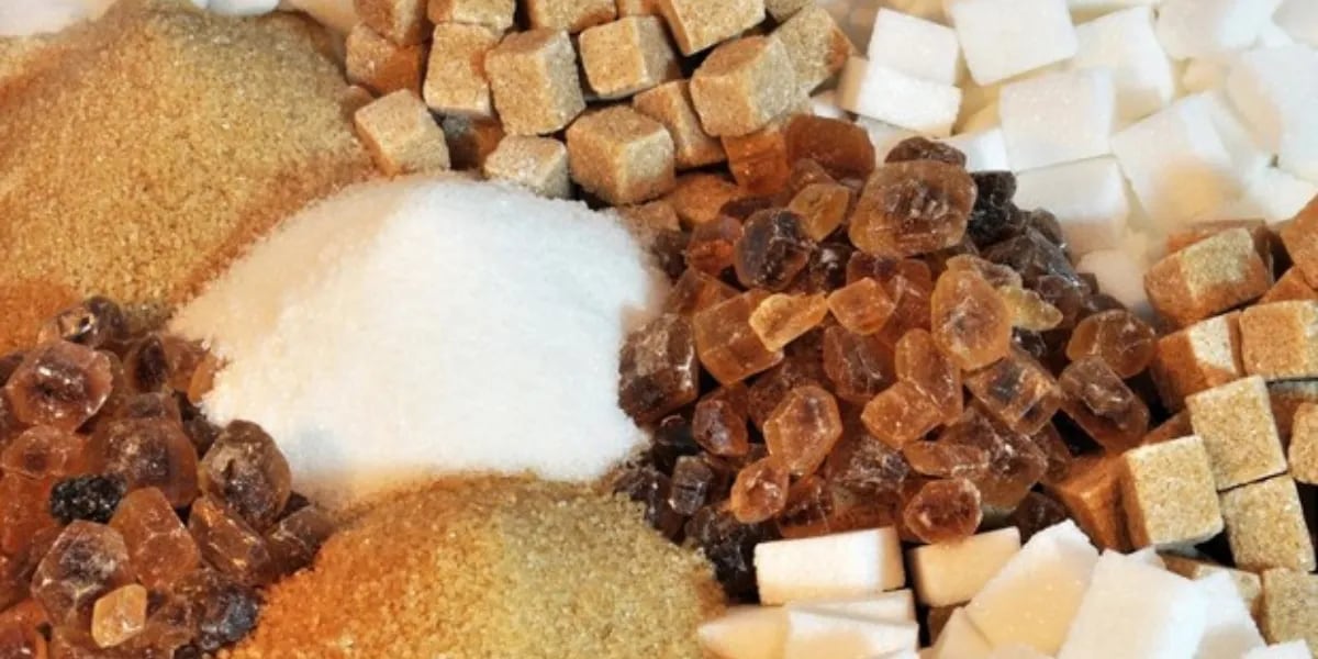 Azúcar blanco, rubia, negra, mascabo o edulcorante: cuál es el mejor para la alimentación