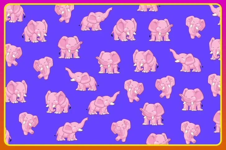Reto visual que solo el 5% pudo resolver: encontrar a los dos elefantes diferentes