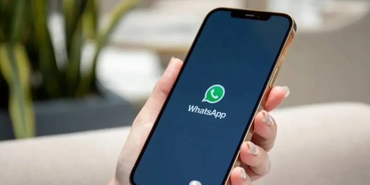 “Modo ignorado”: de qué se trata la nueva función de WhatsApp y cómo se activa