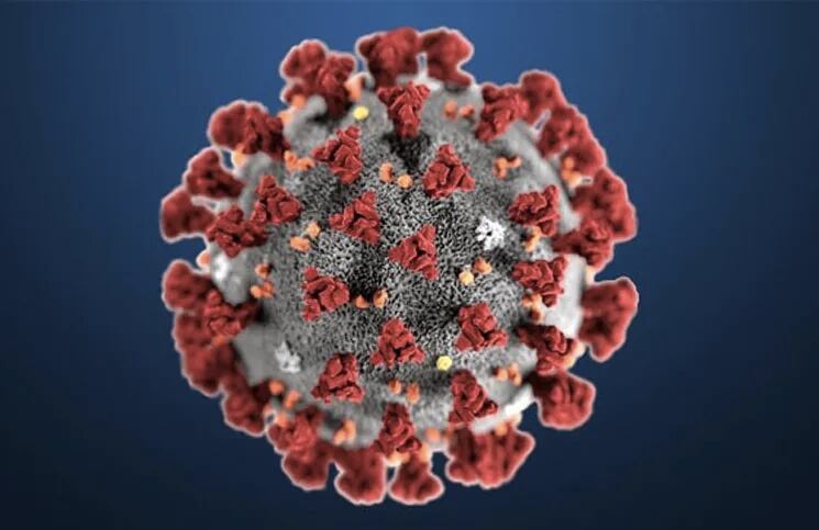 Descubren que el coronavirus puede permanecer hasta 37 días en el organismo