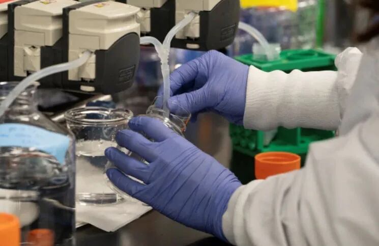 Coronavirus: el Gobierno Nacional prueba la droga que recomendó Donald Trump