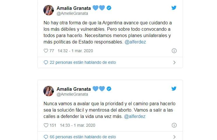 Amalia Granata estalló contra Alberto Fernández por el proyecto de legalización del aborto: "Cuánta ignorancia señor"