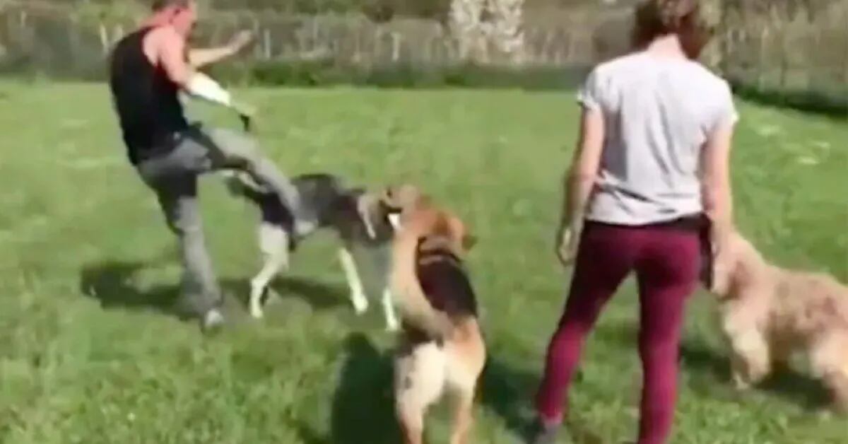 Fuerte denuncia contra un famoso adiestrador por patear a los perros que entrena