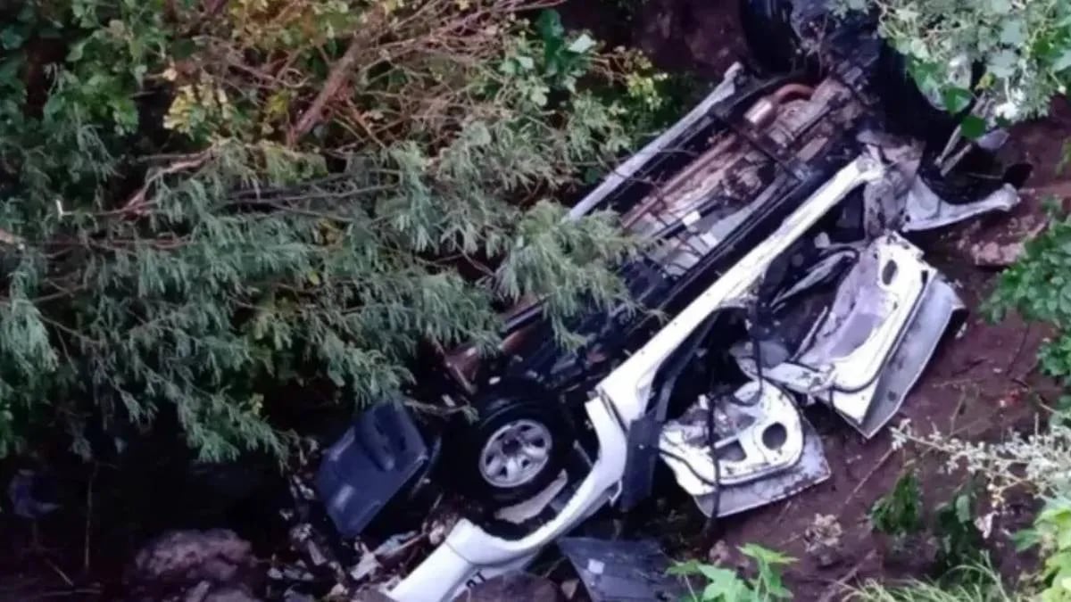 🔴 Murieron tres: una camioneta cayó diez metros por un barranco en medio de una copiosa lluvia