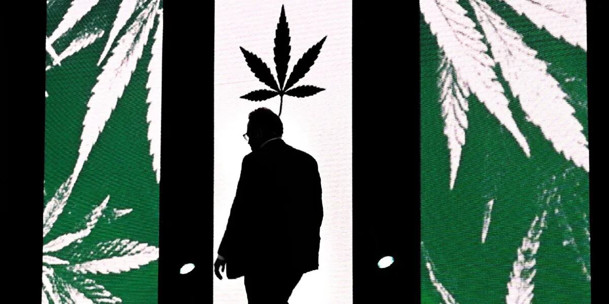 Matías Kulfas aseguró que el Gobierno busca que “Argentina sea un país de referencia” en la industria del cannabis