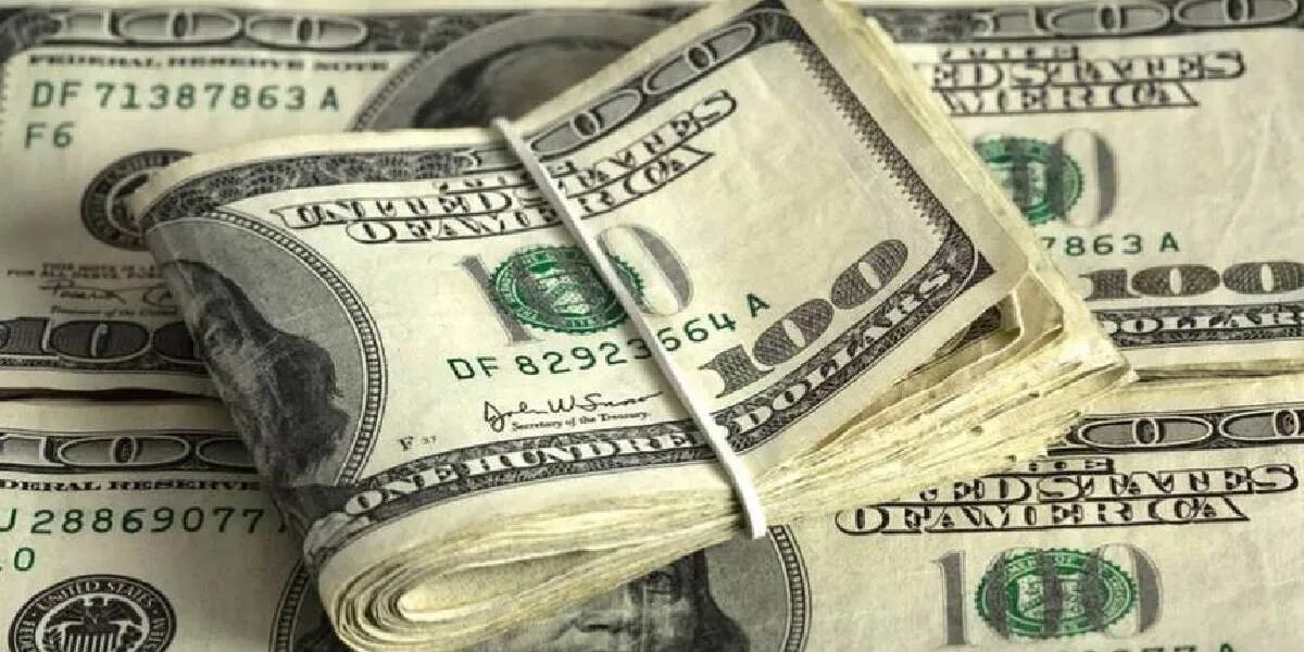 Dólares truchos: cómo detectar paso a paso si un billete es falso