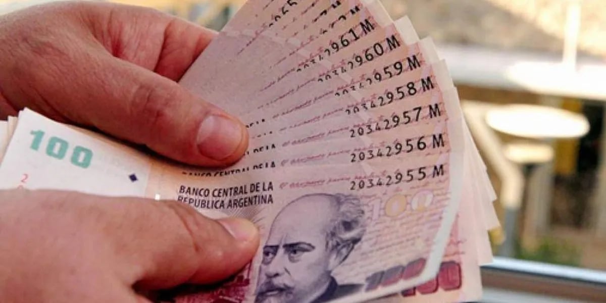 ANSES confirmó el pago de un nuevo bono de 12 mil pesos: desde cuando estará disponible y quienes podrán acceder 