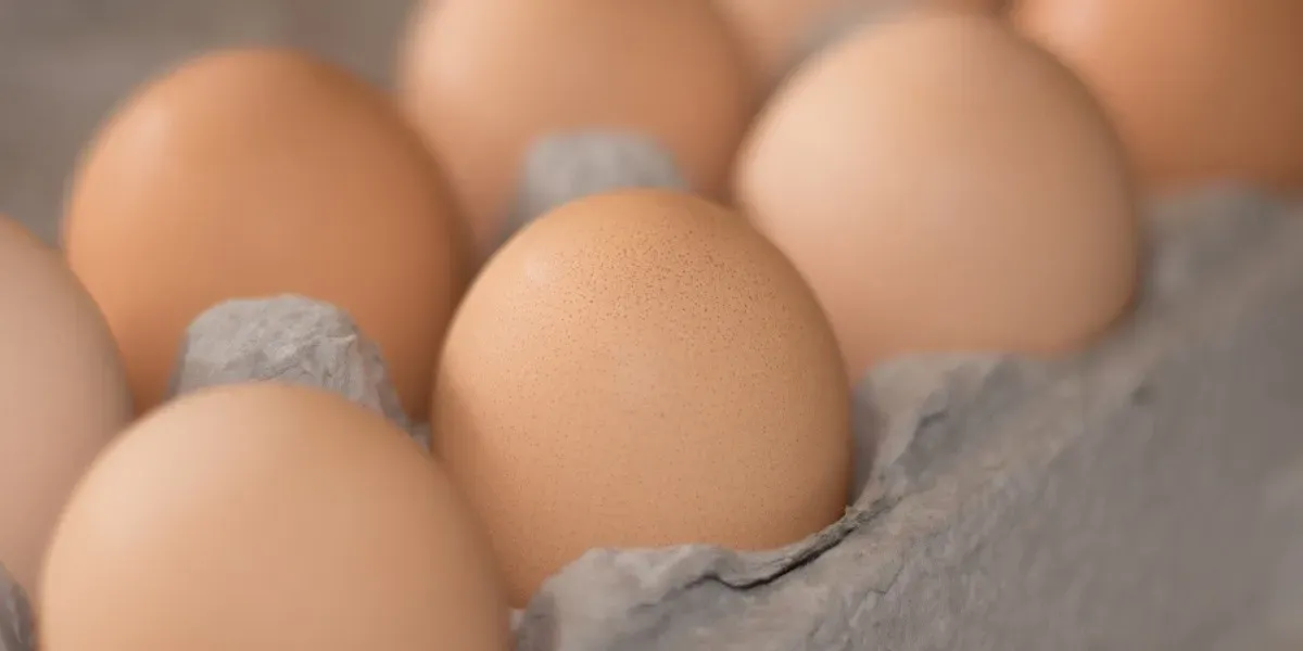 Lavar los huevos cuando tienen sucia la cáscara: hay que hacerlo o no