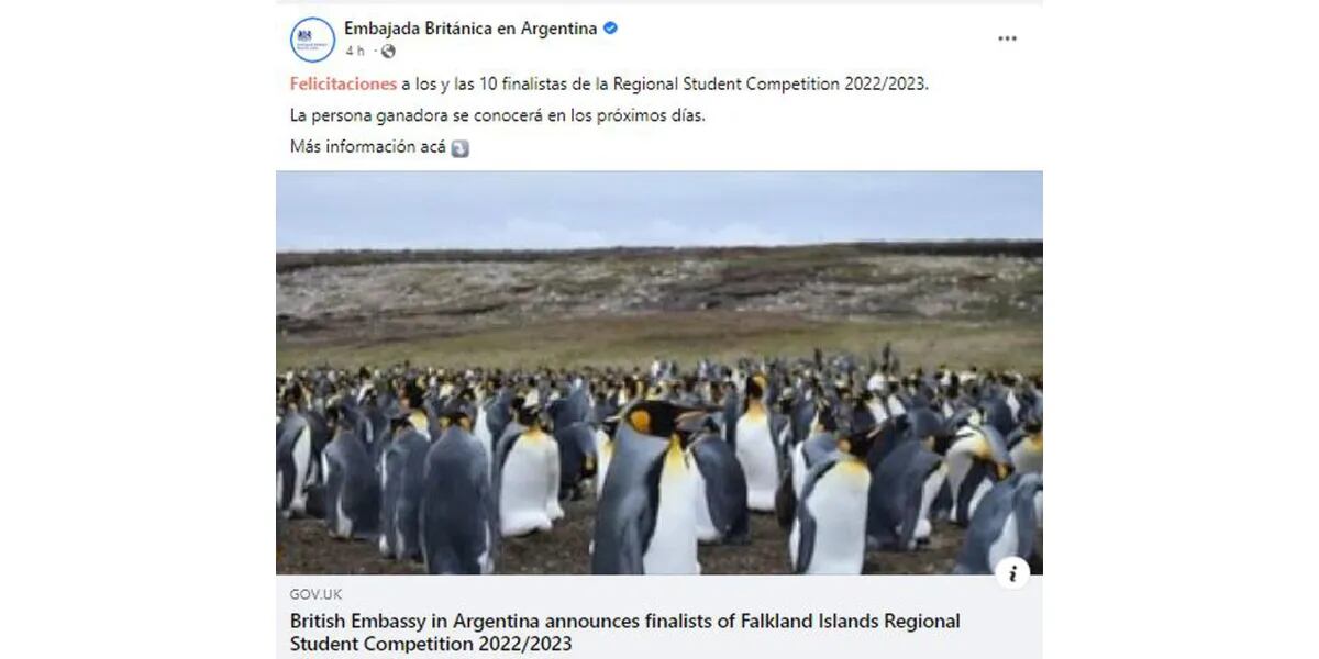 El enojo del Gobierno contra Gran Bretaña por un concurso para que estudiantes viajen gratis a Malvinas: "Ocupación británica"