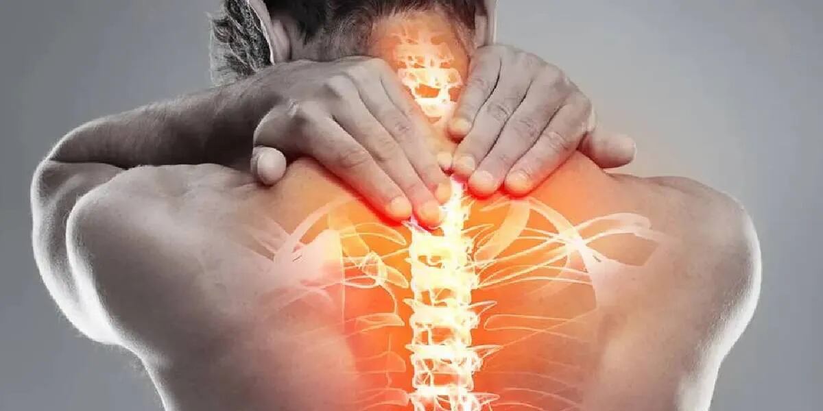 Cuál es el secreto para combatir el dolor de espalda, según Harvard