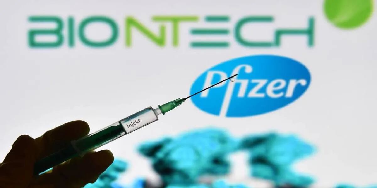 Coronavirus en Argentina: Pfizer comienzan las pruebas de su vacuna en embarazadas