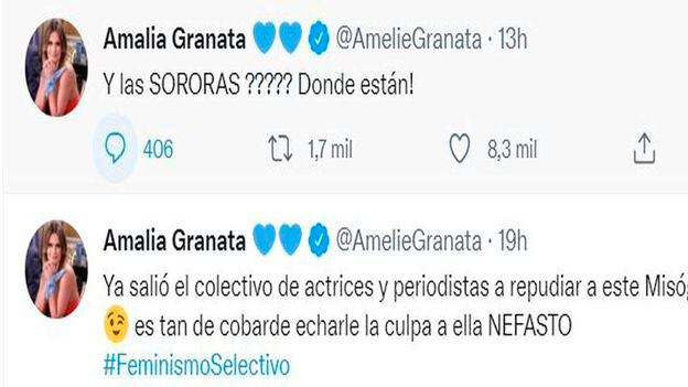 “¿Y las sororas dónde están?”: el comentario de Amalia Granata tras los dichos de Alberto Fernández por la fiesta en Olivos