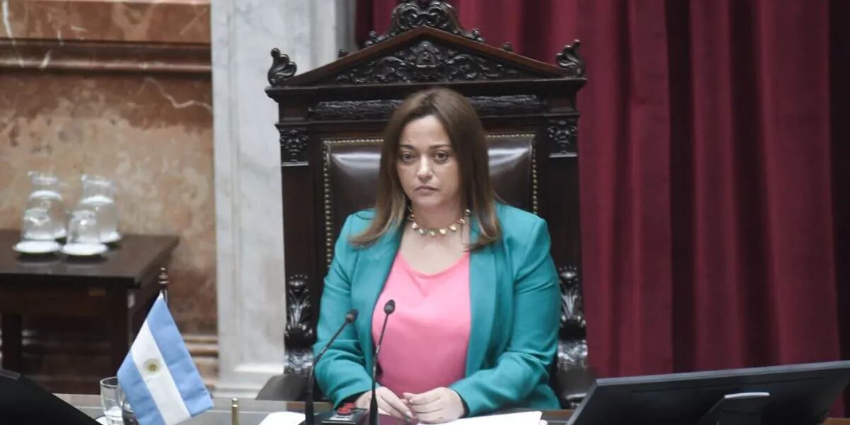 Cecilia Moreau apuntó contra el exdirector de ANSES por criticar las medidas del Gobierno: “Se van a tener que meter la lengua”