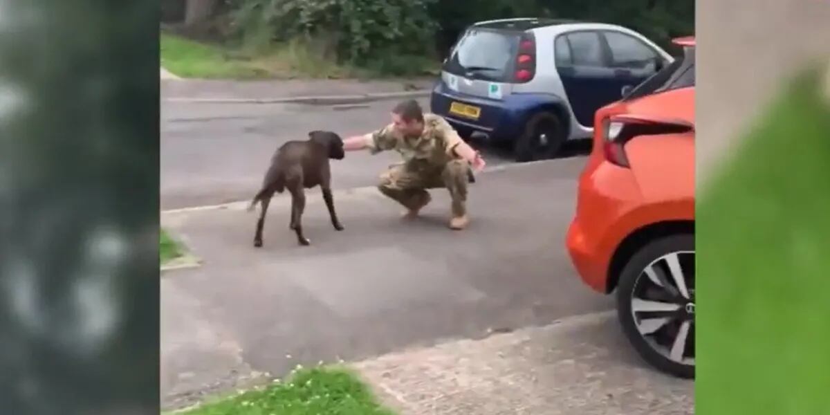 El apasionante reencuentro entre un militar y su perro guardián curado de cáncer