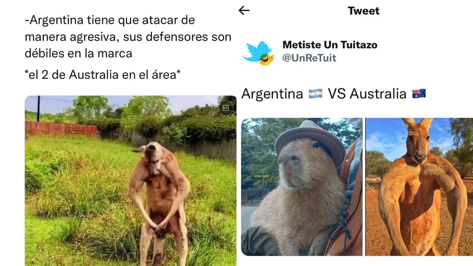 Carpinchos vs Canguros: los mejores memes del enfrentamiento entre Argentina y Australia en el Mundial Qatar 2022.