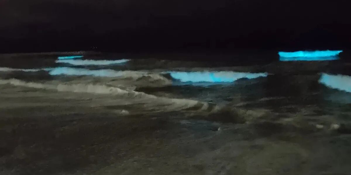 Captaron olas que brillan en la oscuridad en Mar del Plata: a qué se debe el vistoso fenómeno