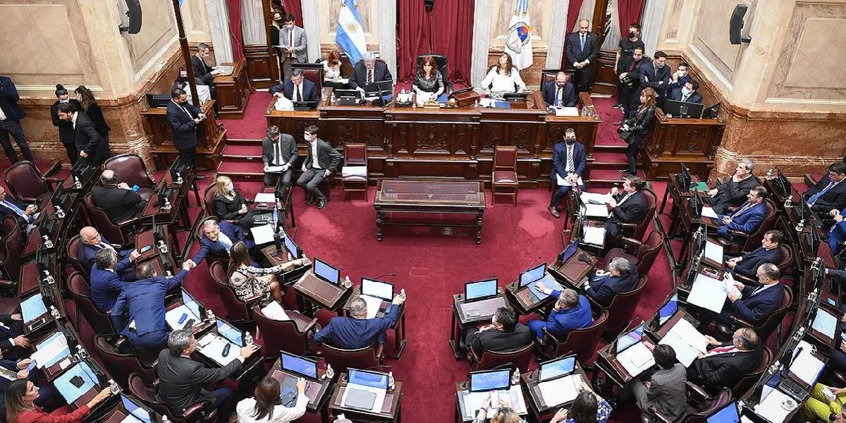 Sin consultar a Martín Guzmán, el senado dio media sanción al proyecto de moratoria previsional