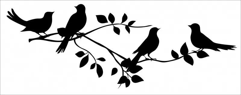 Test psicológico: el pájaro que elijas revelará cuál es tu propósito en la vida